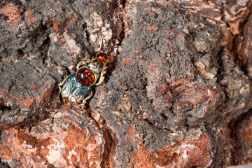Bronze beetle in the background of a tree close-up