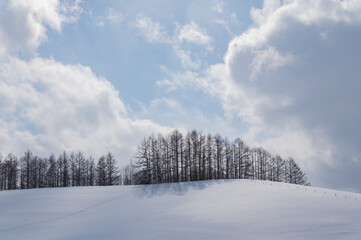 光あふれる美瑛の丘の上の風景