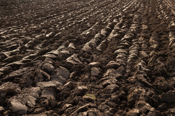 gepflügter Ackerboden, mechanische Vorbereitung des Ackers als Saatbett.