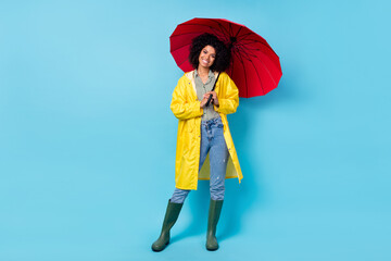 Photo of funky adorable dark skin lady wear yellow overcoat walking holding red parasol isolated blue color background