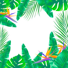 Fototapeta na wymiar Hand dawn tropical plants and flowers arranged in composition. Realistic tropical digital illustration. Frame of exotic leaves and flowers.