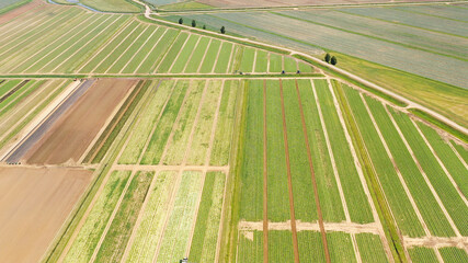 Green fields aerial view before harvest at summer. farm land with agricultural machinery.