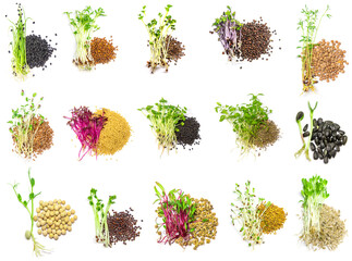Collage of different microgreens on a white background. Selective focus.