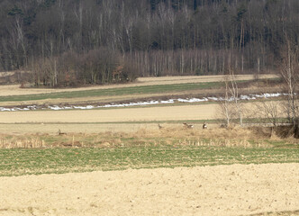 pejzaż, wsch&oacute;d, krajobraz