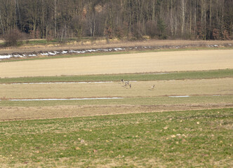 pejzaż, wsch&oacute;d, krajobraz