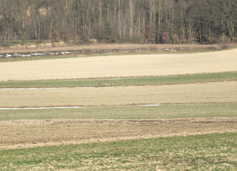 pejzaż, wsch&oacute;d, krajobraz