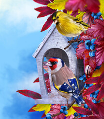 Autumn elegant background, goldfinch bird sitting on a branch near an abandoned birdhouse, autumn bright red leaves, blue berries, 3D rendering, mixed media