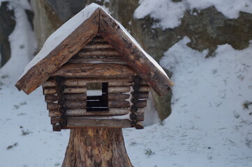 bird house in winter