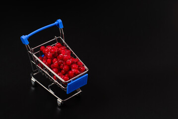 Frozen red currant berries in a small shopping cart on a black background. Copyspace.