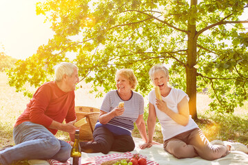 Senioren essen Baguette beim Picknick Ausflug