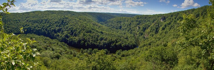 Fototapeta na wymiar View to canyon of river Dyje in the National park Podyji, Czech Republic 