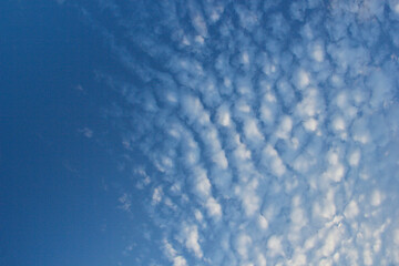Fototapeta na wymiar Красивые кучевые облака на ярком синем небе.