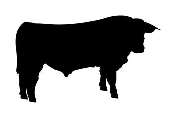 Vector black simple silhouette of a cow, cattle, or bull isolated on white background. Illustration of a farm animal, livestock.