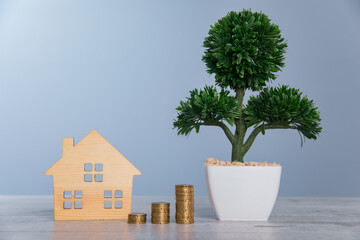 tree with house model and coins