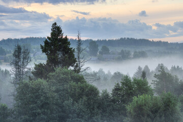 Morning fog in the countryside. Beautiful view of a small village in the forest. Picturesque summer rural landscape. Amazing nature of Russia. Old wooden houses in the distance. Vologda region, Russia