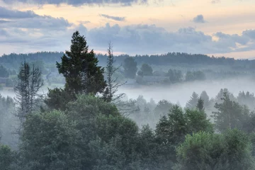 Foto auf Acrylglas Wald im Nebel Morning fog in the countryside. Beautiful view of a small village in the forest. Picturesque summer rural landscape. Amazing nature of Russia. Old wooden houses in the distance. Vologda region, Russia