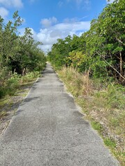 Fototapeta na wymiar paved path in Florida mud flats