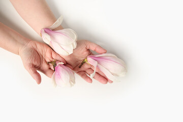 close-up of hand of elderly woman on light background, holding buds of spring flowers, magnolia, concept of awakening of nature, aroma of plants, anti-aging cosmetology and care for aging skin