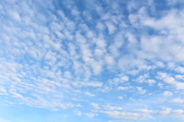 青空 Blue Sky