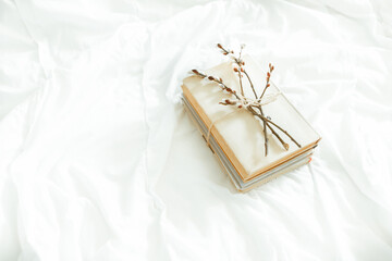 Spring is coming. Reading concept with vintage books on white background with pussy willow twig. Flat lay. Cozy home still life
