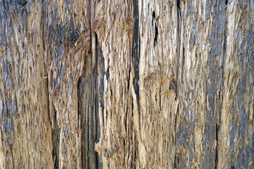 Weathered old grungy wooden surface.