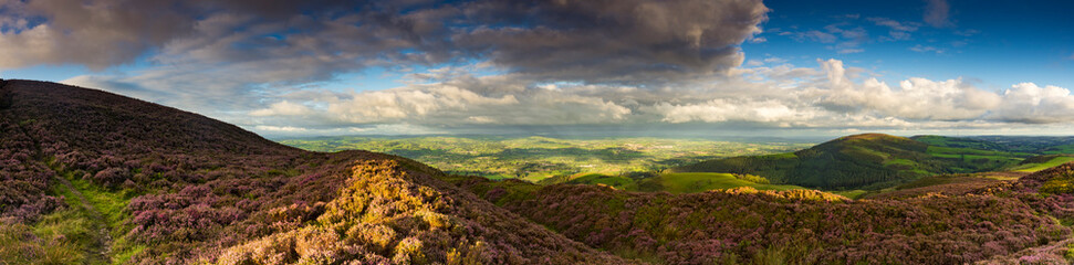 Clwyds panorama