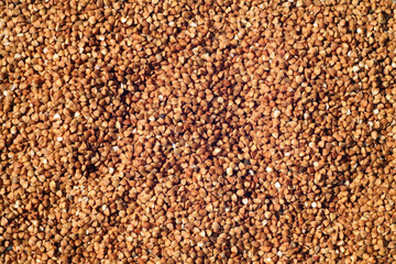 Pile of buckwheat close-up.