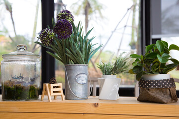 Small garden tin of flowers with sun beam in cafe shop.