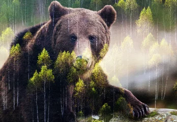 Tuinposter double exposure of brown bear and forest © Melinda Nagy