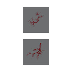 Veins Logo Template vector symbol medical design