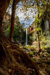 Waterfalls at the end of the canyon, vertical composition