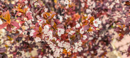 close up of colorful beads