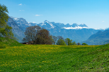Obraz premium View over a beautiful meadow to Walensee, a lake in Switzerland, and mountains