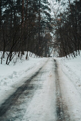 Snowy road in the winter forest.