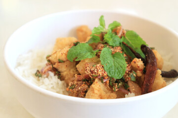 Rice and fried chicken in a white bowl