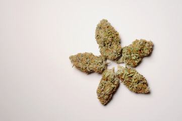 Marijuana buds closeup. Medicinal cannabis flowering on white background, isolated. Hemp recreation, medical usage, legalization.