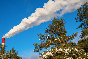 Chimney with smoke on the background of the forest..