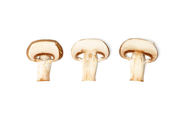 Three slices of champignon mushrooms isolated on white
