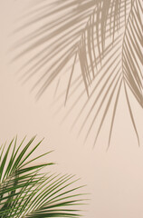 Summer natural color green palm leaves and hard shadows. Tropical background. Minimal summer...