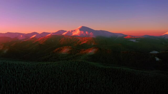 Aerial Winter view on Hoverla, peak of highest mountain of Ukraine. Winter Forest Snow Covered Trees at Sunrise. Travel And Tourism concept. Beautiful landscape of Carpathian range covered with snow