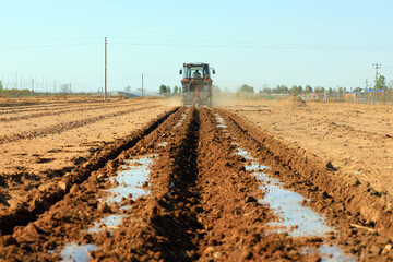 Fototapeta premium Farmers drive seeders to grow Plastic Mulched peanuts on the farm.