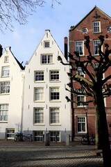 Amsterdam Street View with White and Brown House Facades and Winter Tree