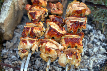 Chicken kebab, outdoors, on a homemade grill, close-up