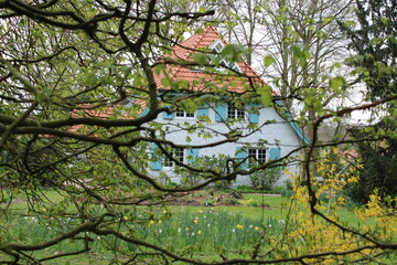 Fototapete bei efototapeten.de bestellen   