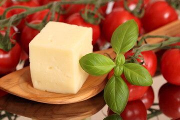 Ein Stück Käse mit Tomaten und Basilikum