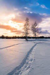 Sunset or sunrise in a winter field or lake with snow on earth and path, leading far away. Birch with beautiful sky on the background.