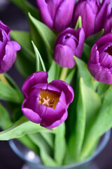 Bouquet of purple tulips with green leaves on a gray background, top view.