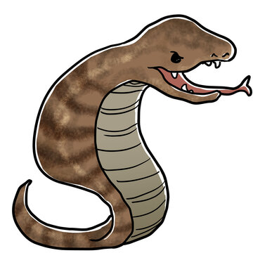 Simple and realistic illustration design of Tsuchinoko