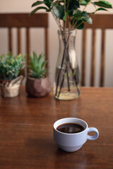 taza de café, mesa de madera y plantas
