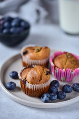 Muffins on a gray plate with blueberries, on a gray table.